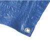 Blue Tarp