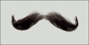 Atelier Bassi Moustache-M7 1 Atelier Bassi Moustache-M7