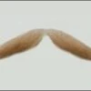 Atelier Bassi Moustache-M6