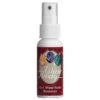 Wine Away - 2oz. Spray Bottle