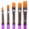 Royal Brush Gold Taklon 5 Pc. 2,4,6,8,10 Shader